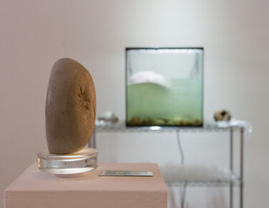 Paul Esposito's solo show sculpture in the foreground, with an aquarium tank in the background.