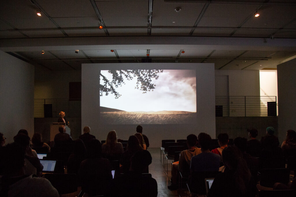 Picture of a landscape being projected on the EDA pit walls.