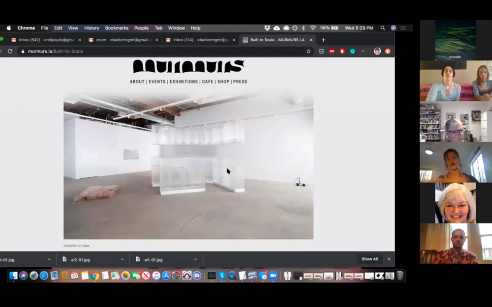 Emily shows documentation of her exhibition on murmurs.la website.