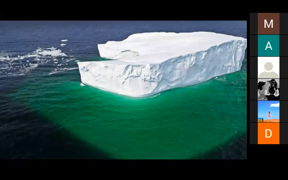 Picture of an iceberg during Nora Khan's presentation.