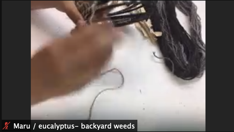 Maru / eucalyptus - backyard weeds