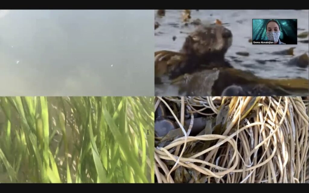Emma Introduction Video Collage